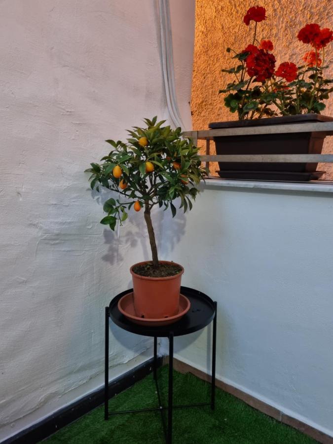 Giardino Moreno Palermo Luaran gambar